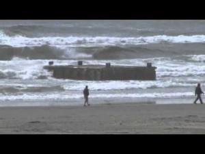 Dock from Japanese Tsunami reaches Oregon