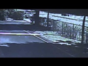 Crash Sends Car Into Fla. Pool