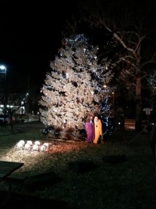 Christmas Tree Pic