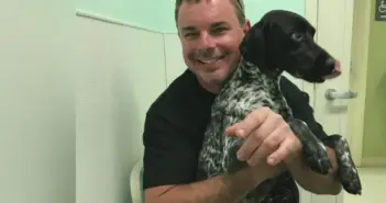 Buck transferred to breed-specific shelter