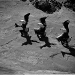 Marmon, Laguna Eagle Dancers[1]