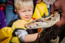 SPOOKtacular Press Release