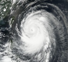 Typhoon Neoguri