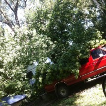 Storm damage at Tuttle Creek State Park.