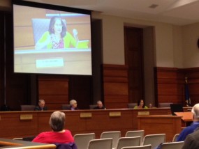 Law Board Member Usha Reddi on screen