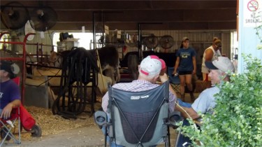Fair goers relax in the livestock barn during the Riley County Fair Friday afternoon in Manhattan. (Staff photo by Brady Bauman)