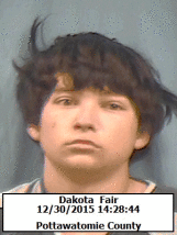 Dakota Fair mug