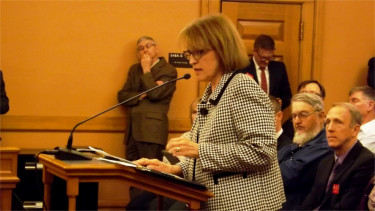 Robbin Cole, executive director of Pawnee Mental Health Services, speaks to the Senate Assessment and Taxation Committee Wednesday in the State Capitol Building in Topeka. (Staff photos by Brady Bauman)