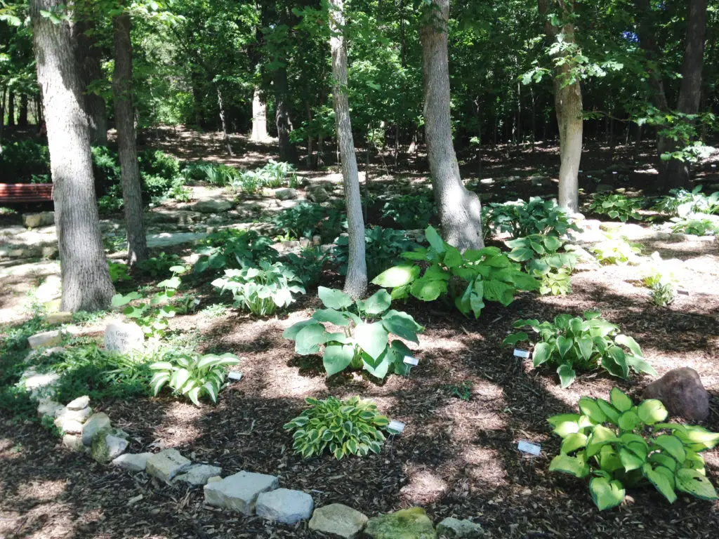 Brosius 1 News Radio KMAN