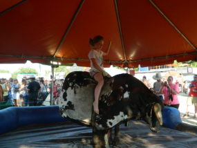 Gracie on mechanical bull 3 best one