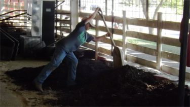 Brock Burgman of the Leonardville Huslters 4-H Club prepares a spot for his steer Thursday morning. (Staff photos by Brady Bauman)