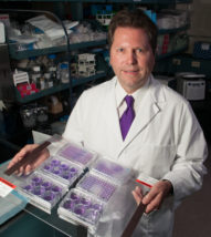 Kansas State University's Jürgen Richt, regents distinguished professor and director of the Center of Excellence for Emerging Zoonotic and Animal Diseases, is the principal investigator of a $2.3 million grant from the Defense Threat Reduction Agency to study if a newly developed vaccine for humans to protect against the Ebola Zaire virus is also safe to use in livestock.