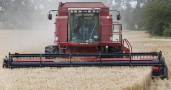 Report: Kansas farm real estate values up 6% from last year