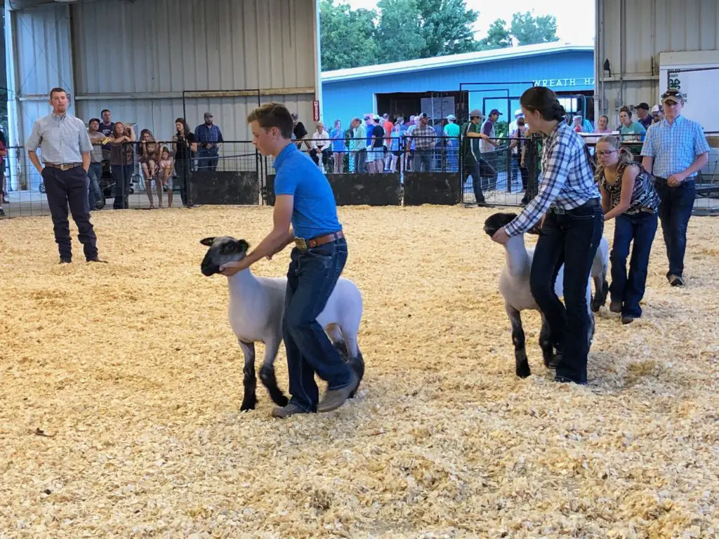 4H members showcase talents at Riley County Fair News Radio KMAN