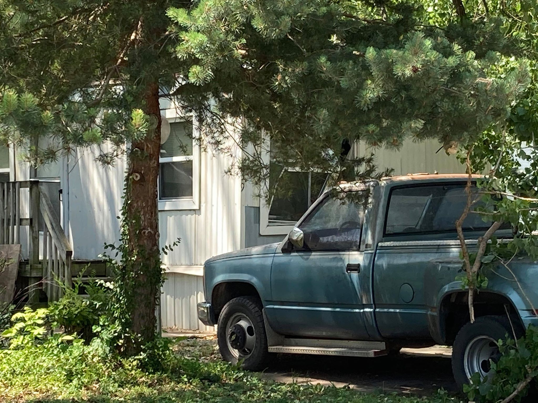 No injuries reported after large tree falls onto mobile home - News ...