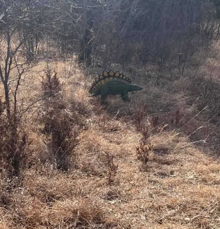 Outdoor safety advice; Tuttle Creek offers archery B104.7 Manhattan’s