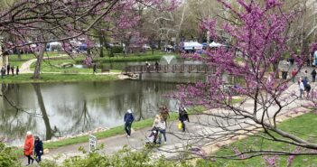 Wamego celebrates successful return of Tulip Festival