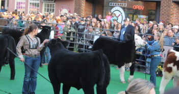 Livestock descend on Manhattan for inaugural ‘Aggieville Showdown’