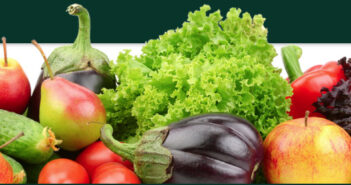 Malnourishment, a matter of quality not just quantity