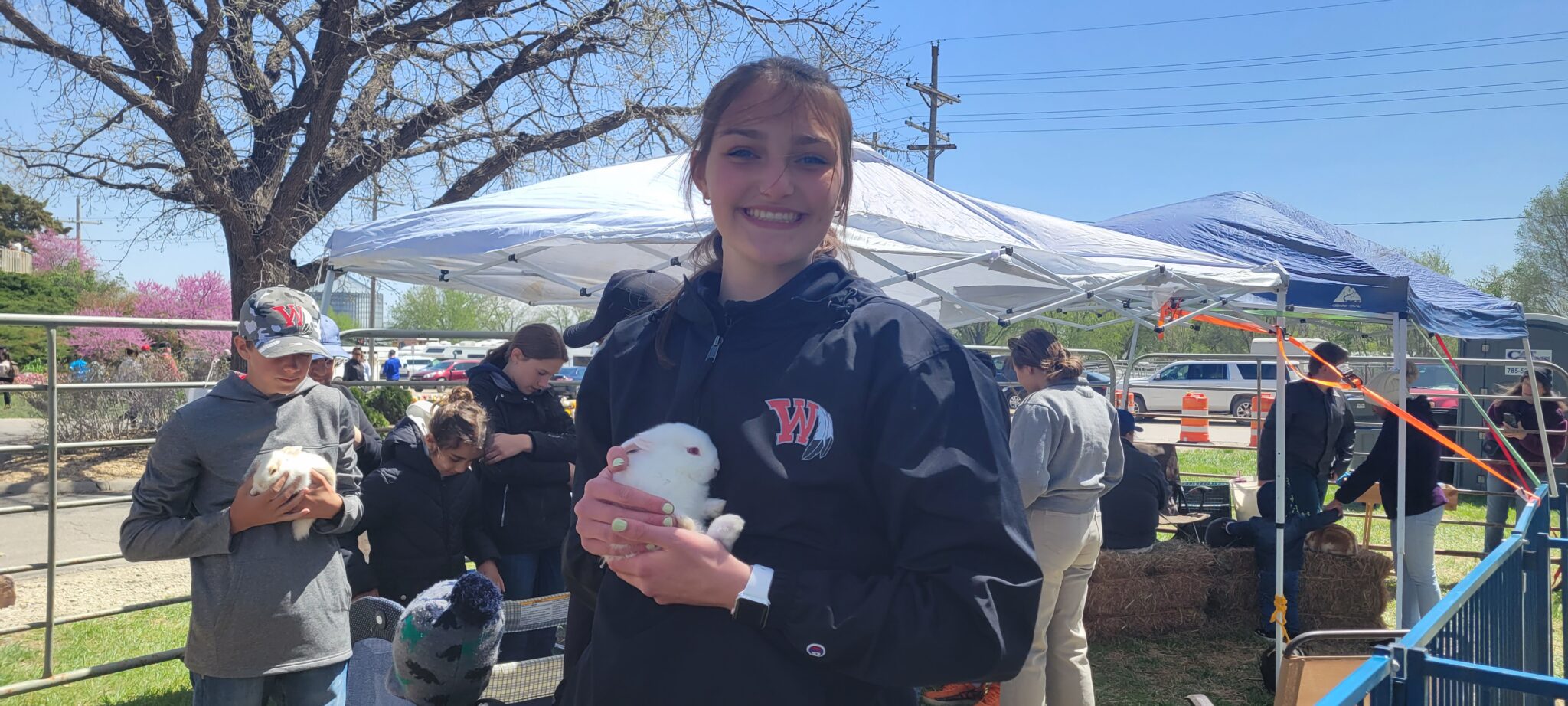 Large crowd enjoys Wamego's Tulip Festival despite weather News Radio