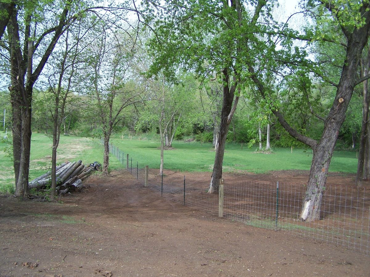 Fairmont Park dog park closes for second time, due to possible canine parvovirus contamination