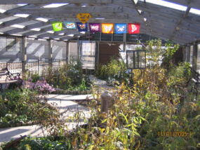 Milford's butterfly house repair