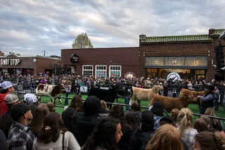 The fifth-annual Aggieville Showdown brought cattle, fashion, and community together in Manhattan, Kansas, highlighting rural and urban connections through a unique livestock event in the heart of Aggieville.