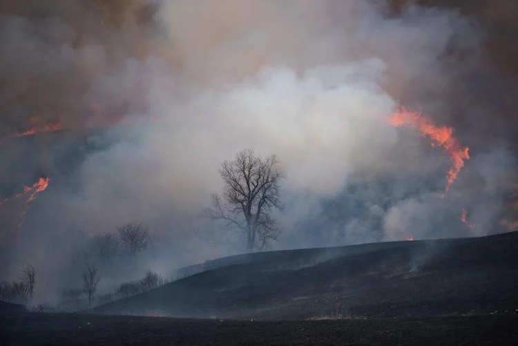 Tallgrass Prairie National Preserve to begin prescribed burning