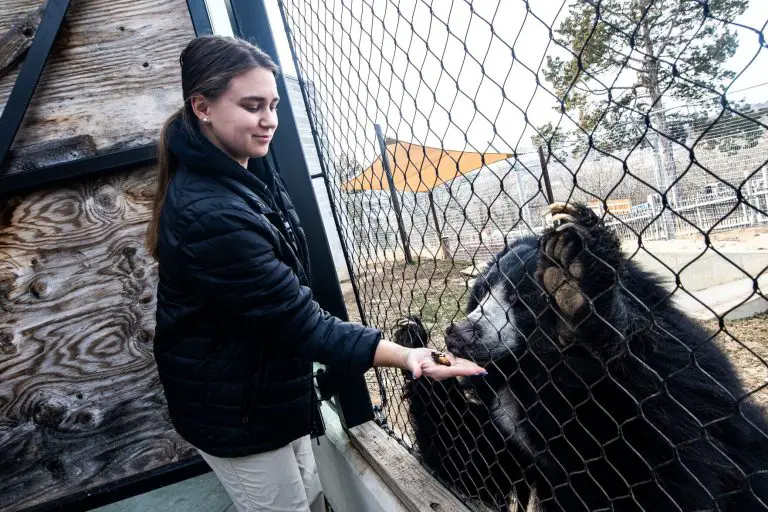 LOVE BITES | Dumped? Sunset Zoo has the Valentine’s gift for you