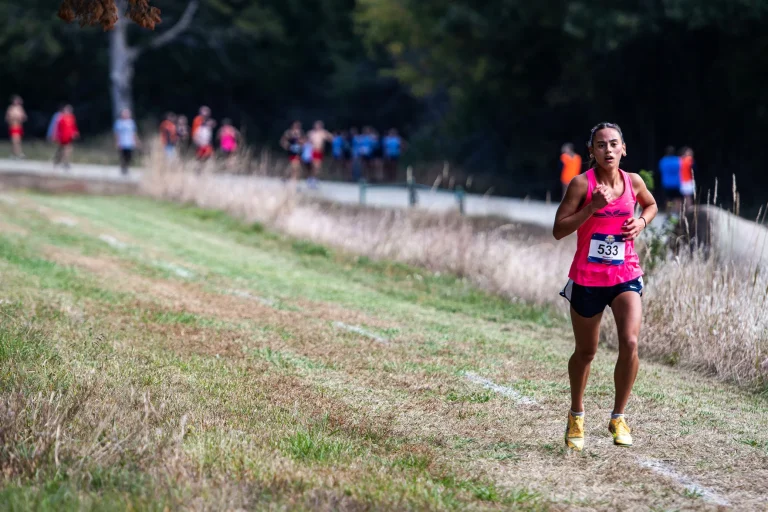MHS cross country squads sweep sub-state